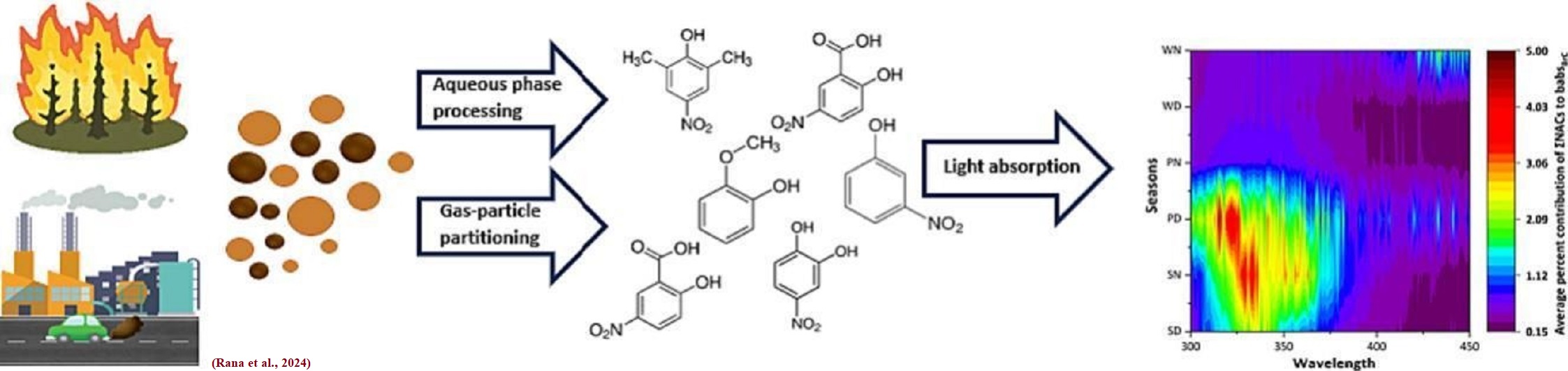 Rana et al 2024 NACs g. abs..